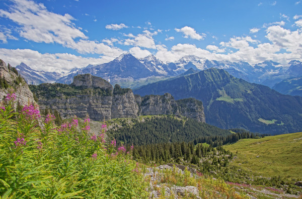 Felsen des Berner Oberlands  