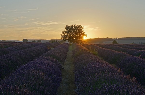 Provence, Frankreich